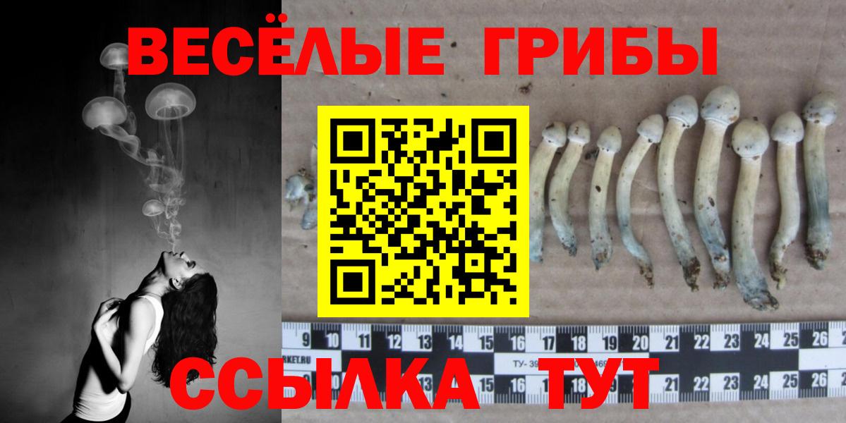 Камышин  Псилоцибиновые грибы мухоморы  Вход с VPN  Галлюциногенные грибы Magic Shrooms 